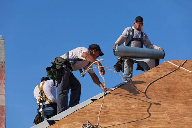 Best Roof Restoration Services  in Courtland, VA