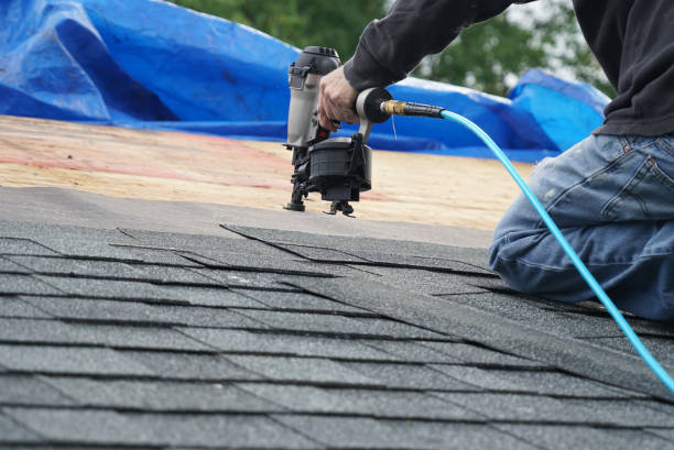 Trusted Courtland, VA Roofing Contractor Experts
