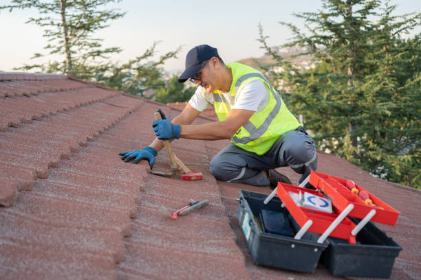 Best Metal Roofing Contractor  in Courtland, VA
